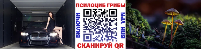 Псилоцибиновые грибы GOLDEN TEACHER  Купить закладки  Симферополь 